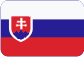Czech this, s. r. o. Slovensky